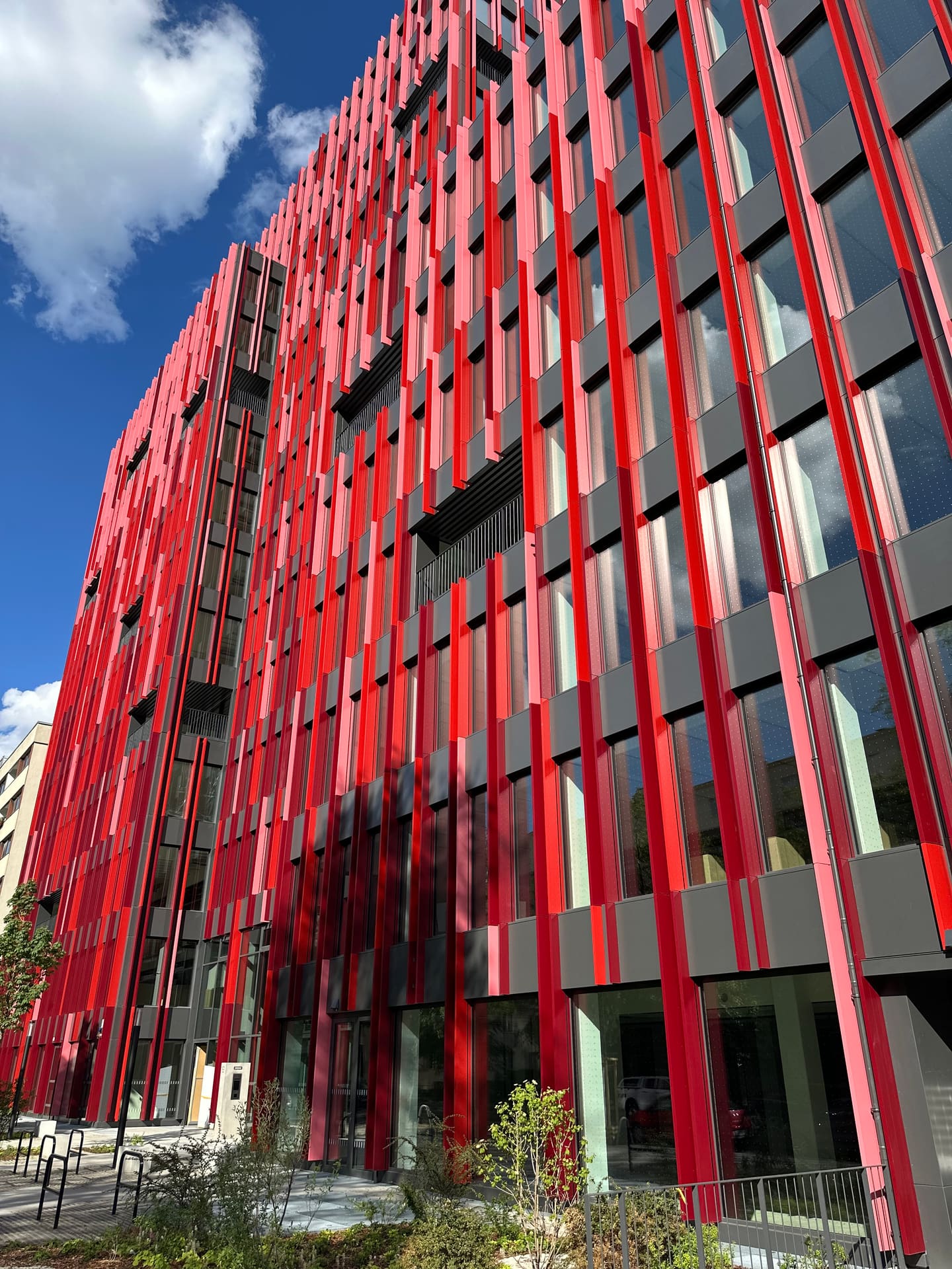 Maler- und Spachtelarbeiten Landgrafenstraße 3 in der City West Berlin abgeschlossen